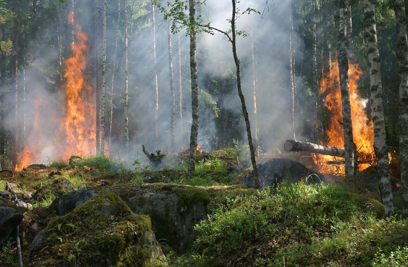 Kanada: Versicherte Schäden durch Waldbrände gehen in die Milliarden